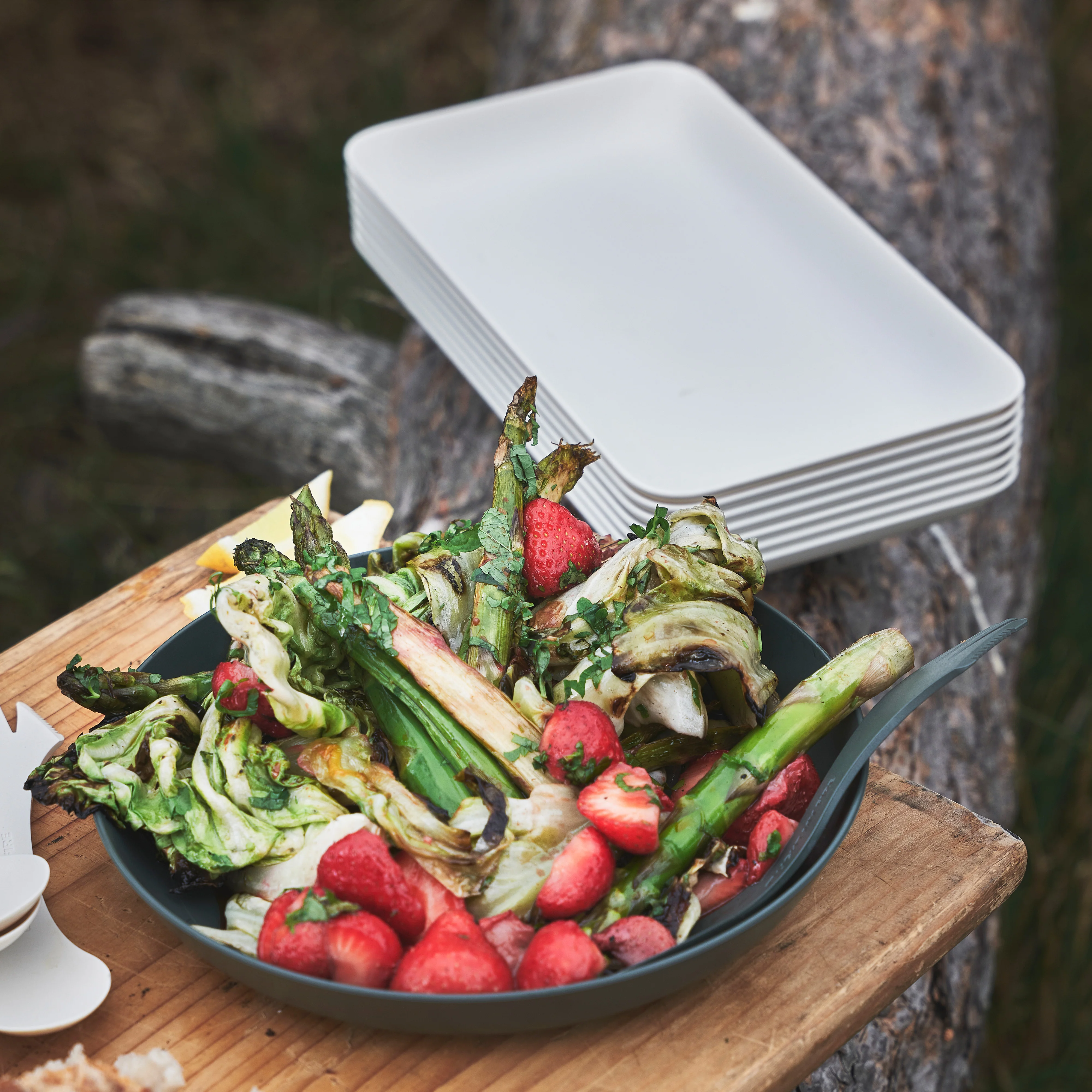 Platter Medium - Image 3